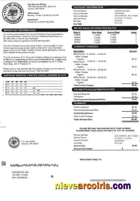 USA CITY OF JACKSON business utility bill
